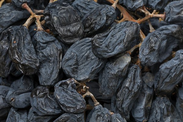 Comment participer à des vendanges dans le Douro, Portugal sans frais d'agence?